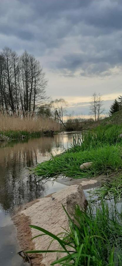 Bojarski Gosciniec Bed & Breakfast Narewka Dış mekan fotoğraf